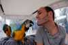 mluvit a ochočené papoušek papoušci
