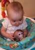 Díte Kapucín Opice že prichází s certifikátu, DNA a velké kleci i velké Java stromu. které jsou rucne chována od Kapucín Opice a jsou velmi krotké, hravý a prítulný. Pro více informací, prosím, kontaktujte 