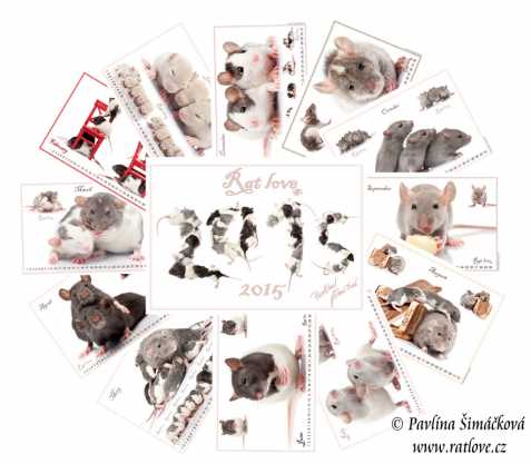 Nástěnný potkaní kalendář 2015
