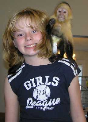 Kapucínský opice miminka pro dobrý domov