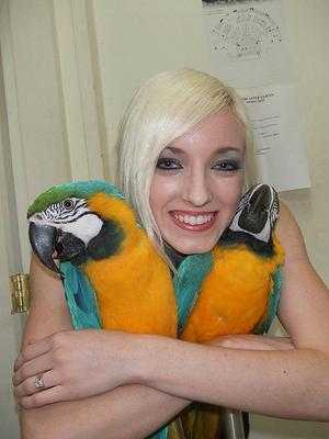 krásný a roztomilý papoušek papoušc