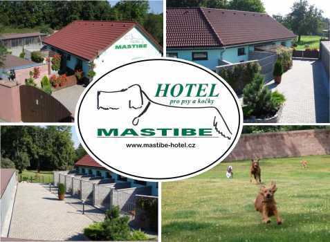 ***Hotel pro psy a kočky MASTIBE***